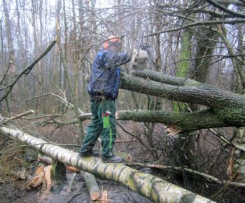 Sturmschaden Februar 2022